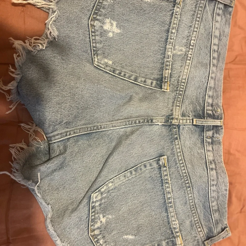 Agolde Parker Denim Jean Shorts